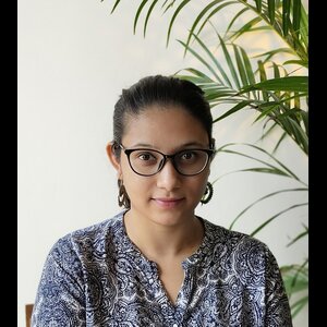 Smitana saikina
