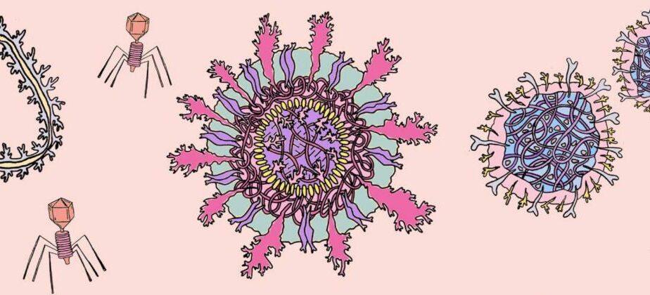 Rotavirus bannerimage