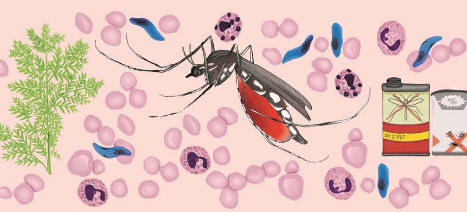 Malaria