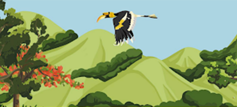 Banner image1