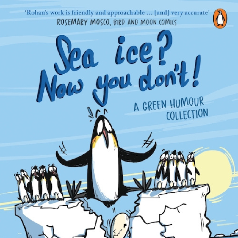 Sea ice? Now you don't!