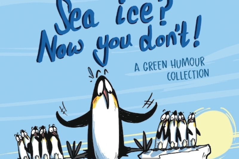 Sea ice? Now you don't!