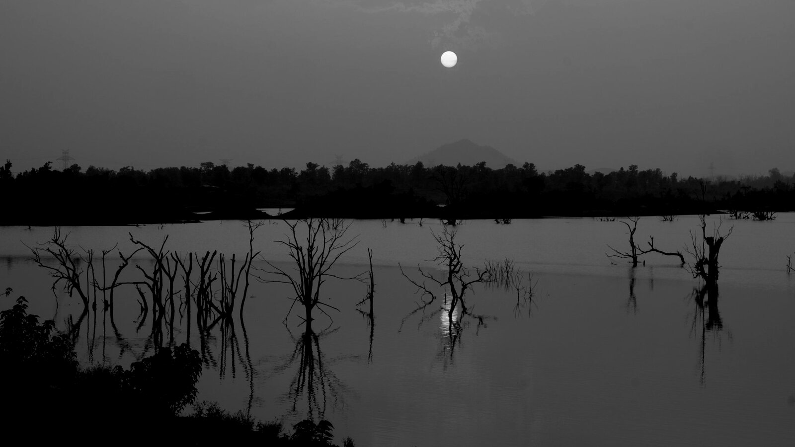 Arpa River Raghav Seth 026