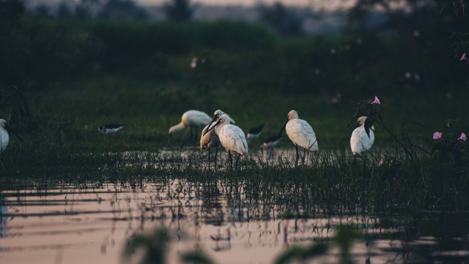 Mula River Nandan 051