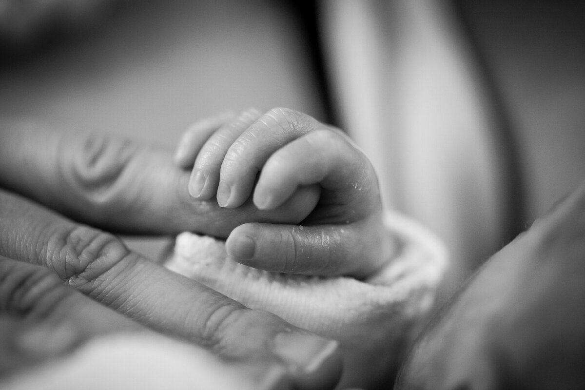 Changing birth practices_Faculty research