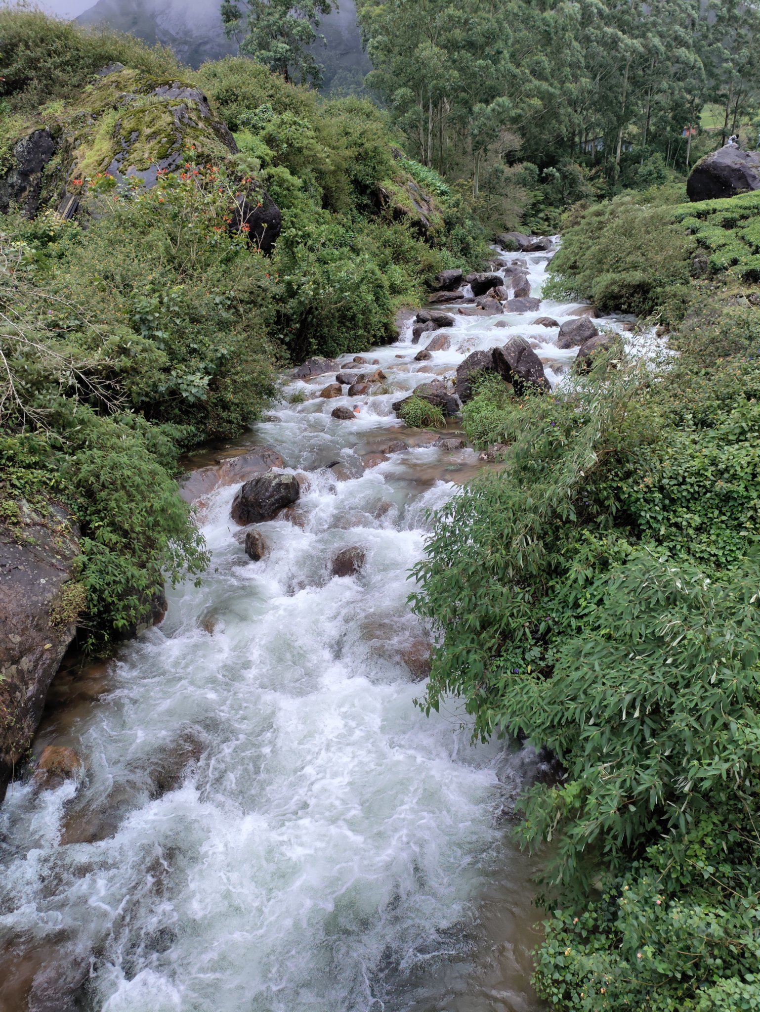 Periyar Neethu Mathew 017