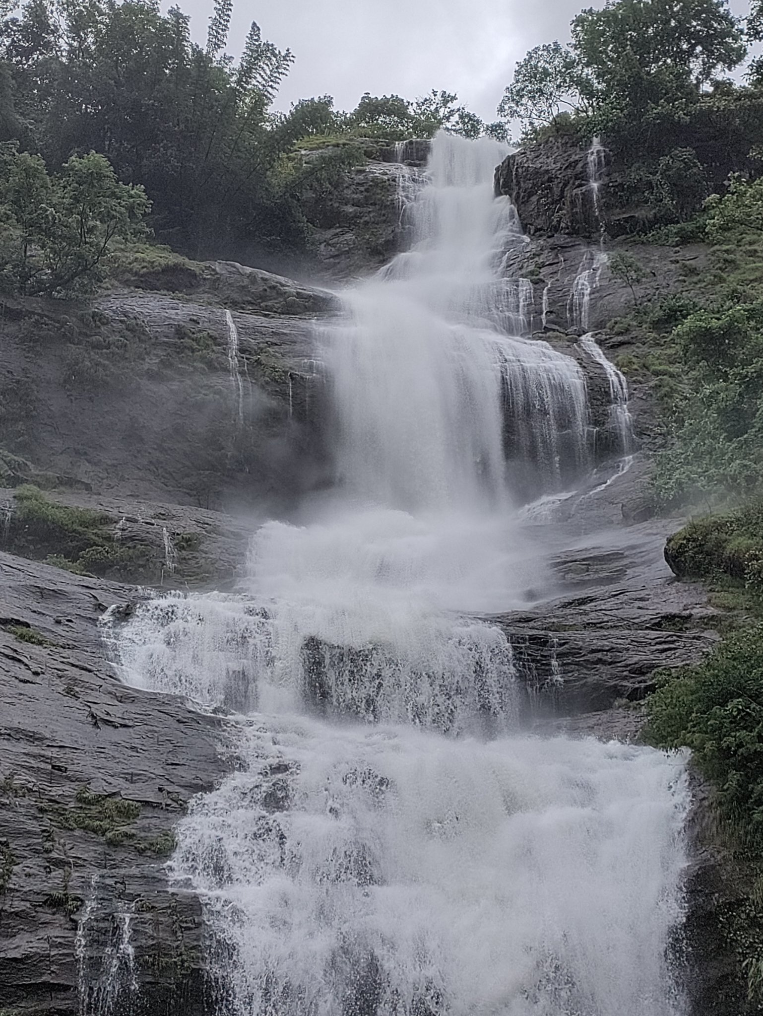 Periyar Neethu Mathew 018