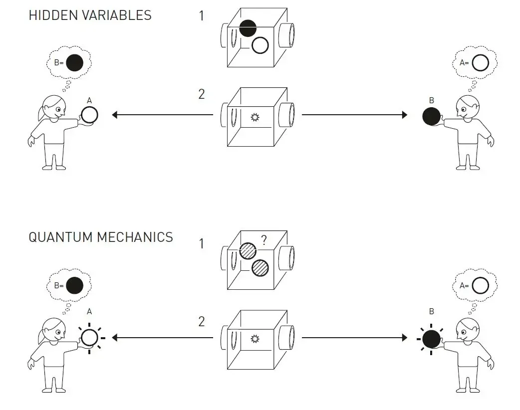 Nobel graphic