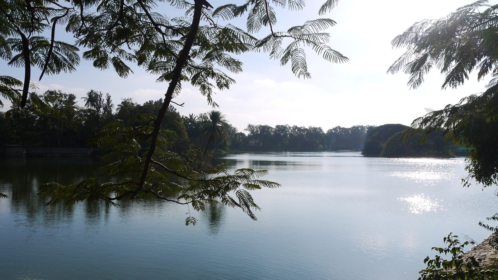 Bangalore lake_ Pixabay