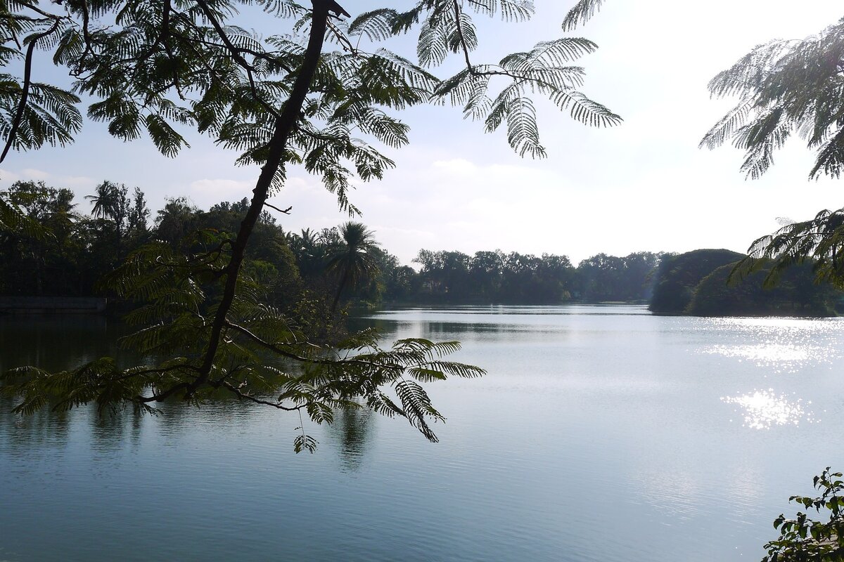 Bangalore lake_ Pixabay