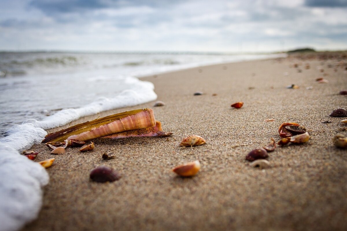 Beach g2363ed33d 1280