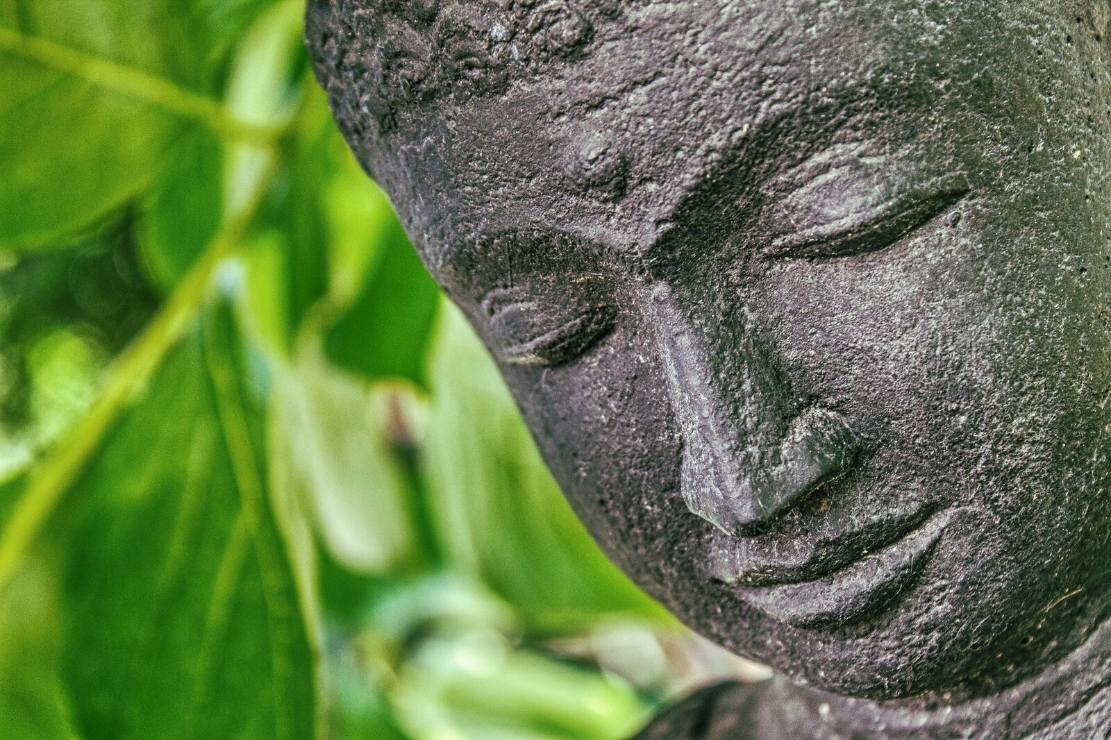 Buddha g5f1d07fc8 1920
