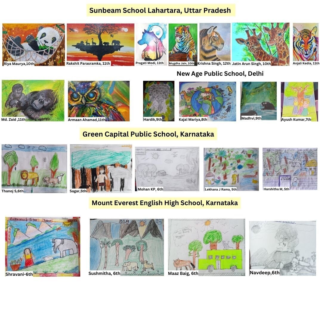 Paintings by sunbeam school Lahartara ,Green capital public school ,Mount everest english school