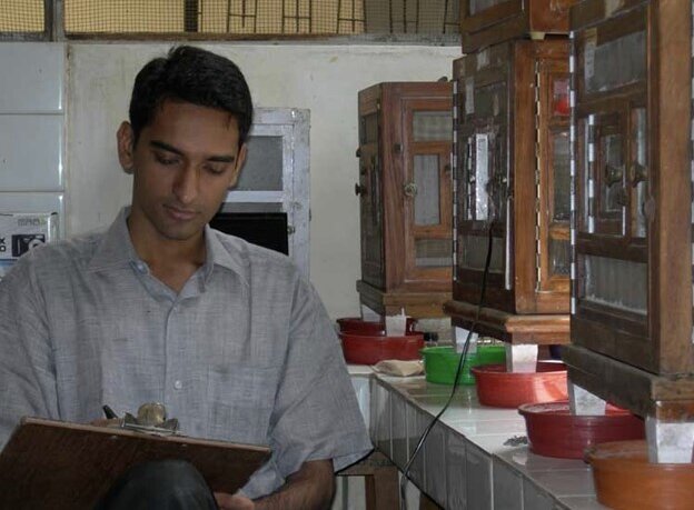 Alok
