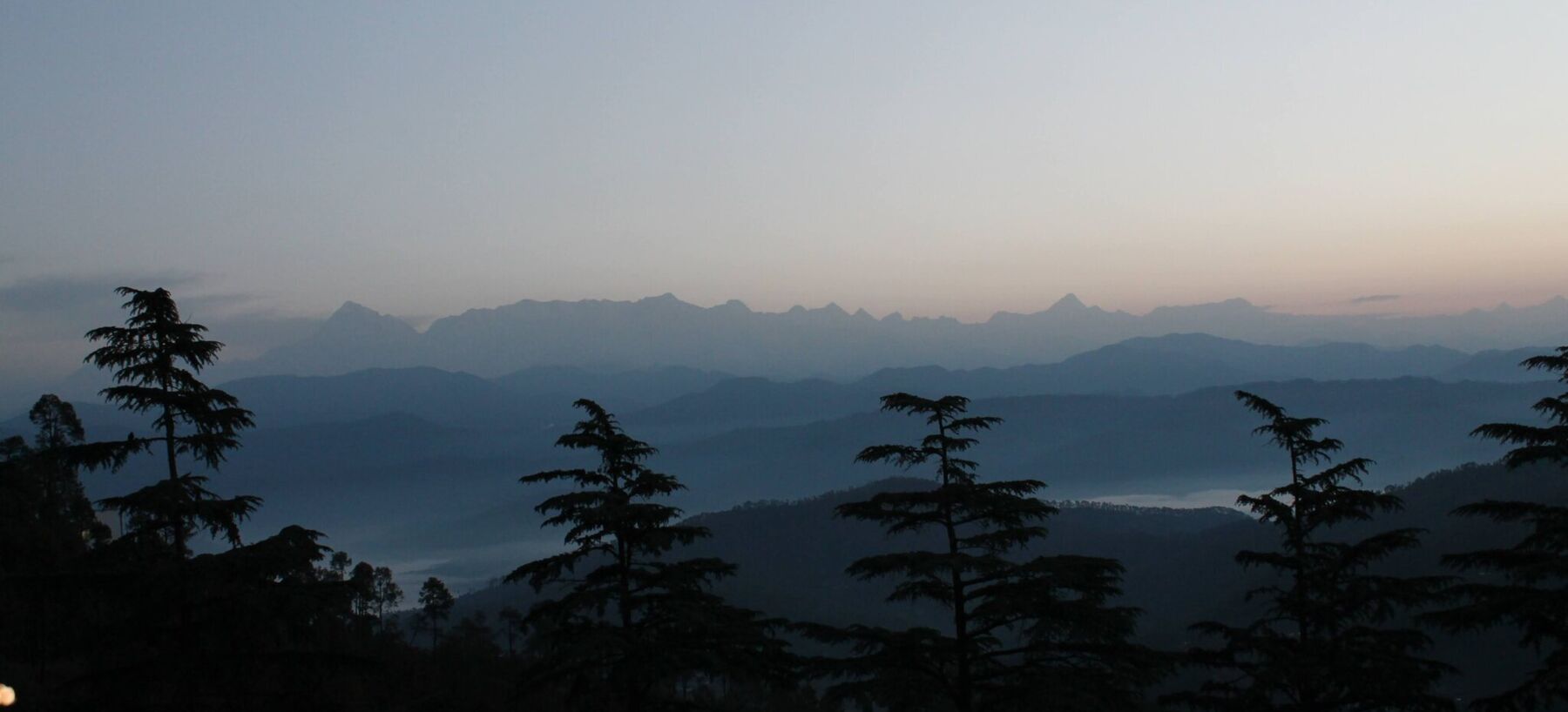 Nature View