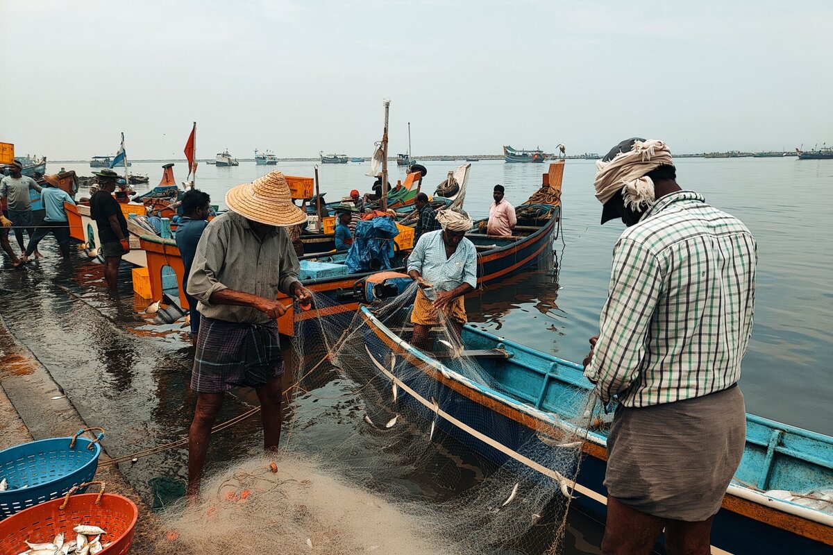Man doing fishing with the net