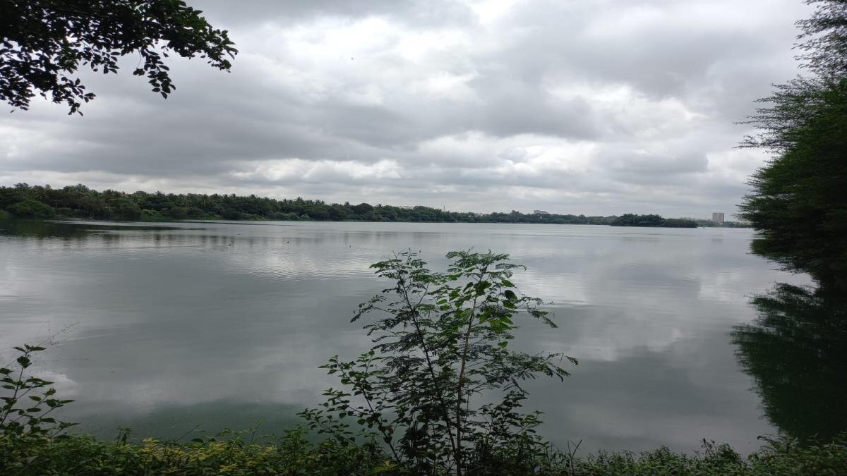 Anshul Rai Sharma Jakkur Lake