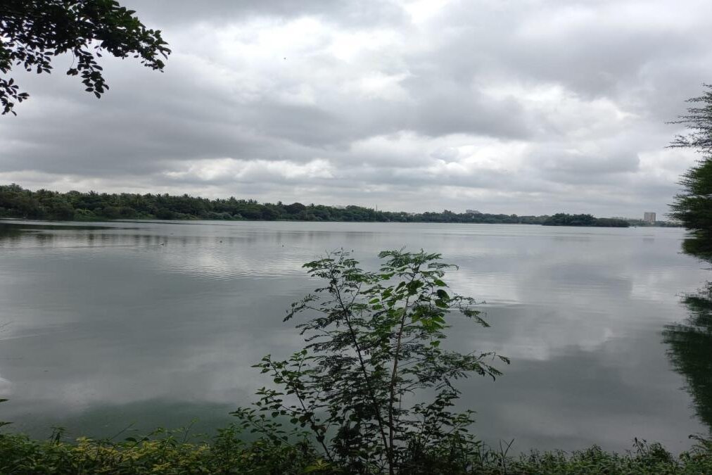 Anshul Rai Sharma Jakkur Lake