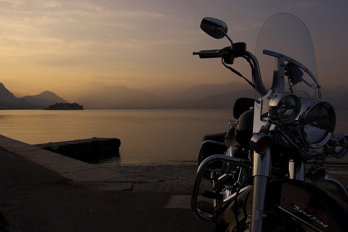 Harley 2430193 1920