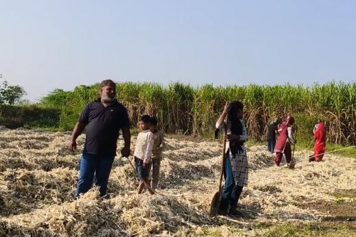 Jaggery