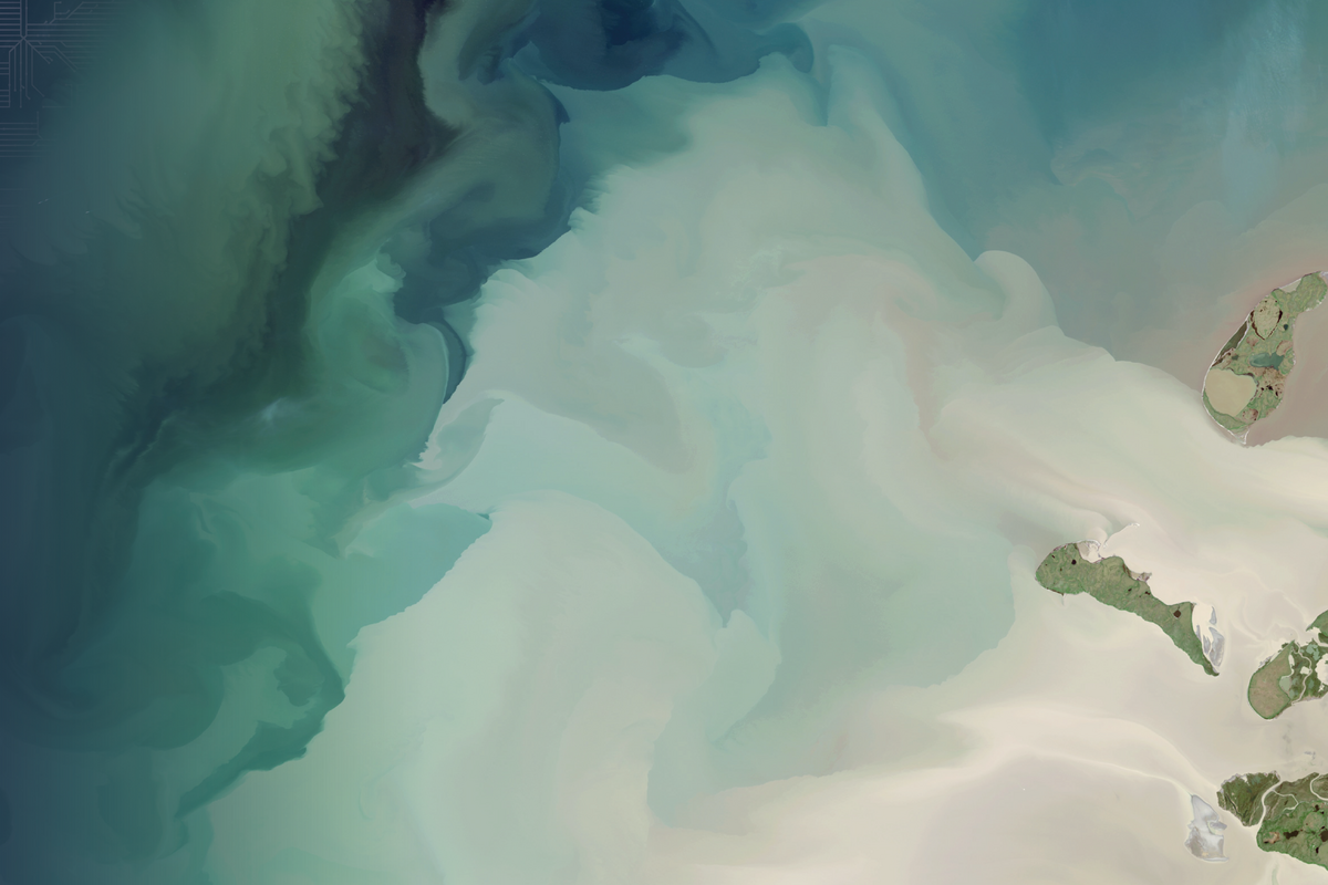 Cccs banner no text