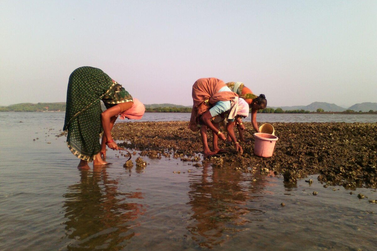 Aghanashini women