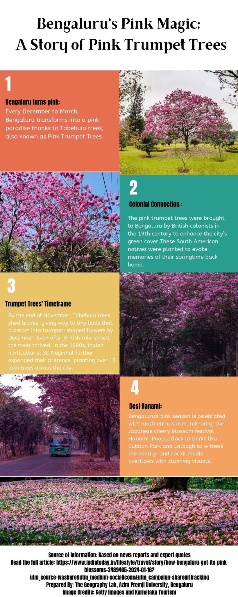 Naturographic 2 Trumpet Flowers Feb 2024