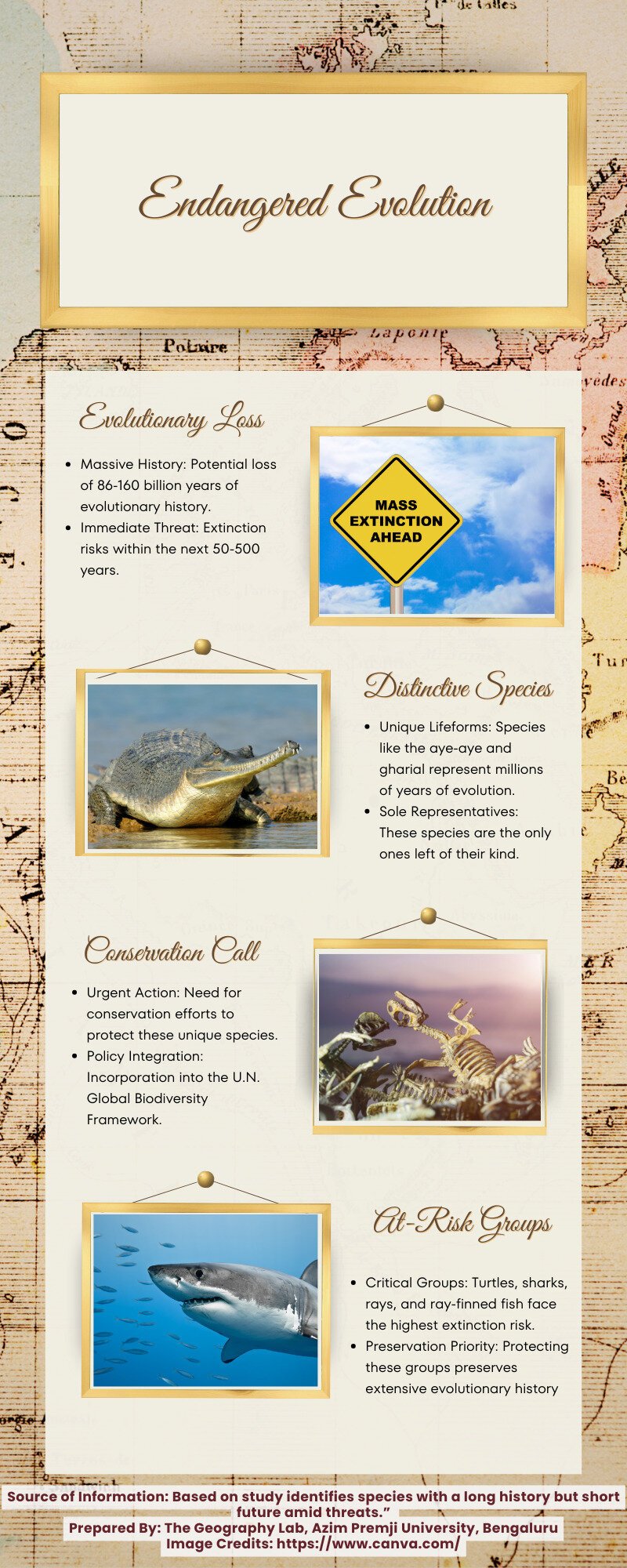 Info 3 Endangered Evolution