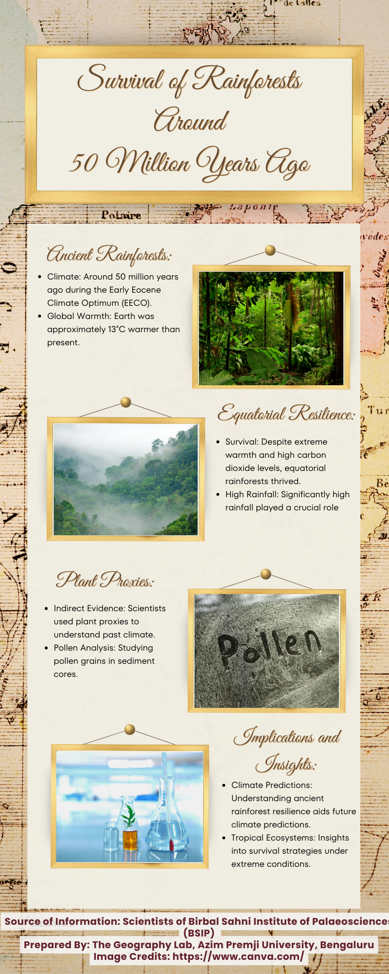 Info 30 Survival of Rainforests Around 50 Million Years ago