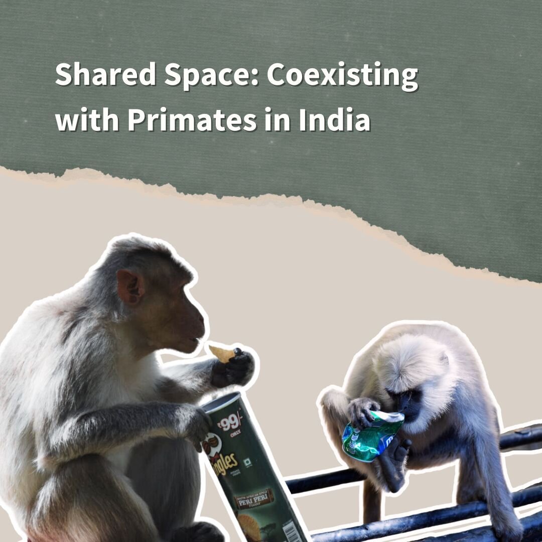Shared space