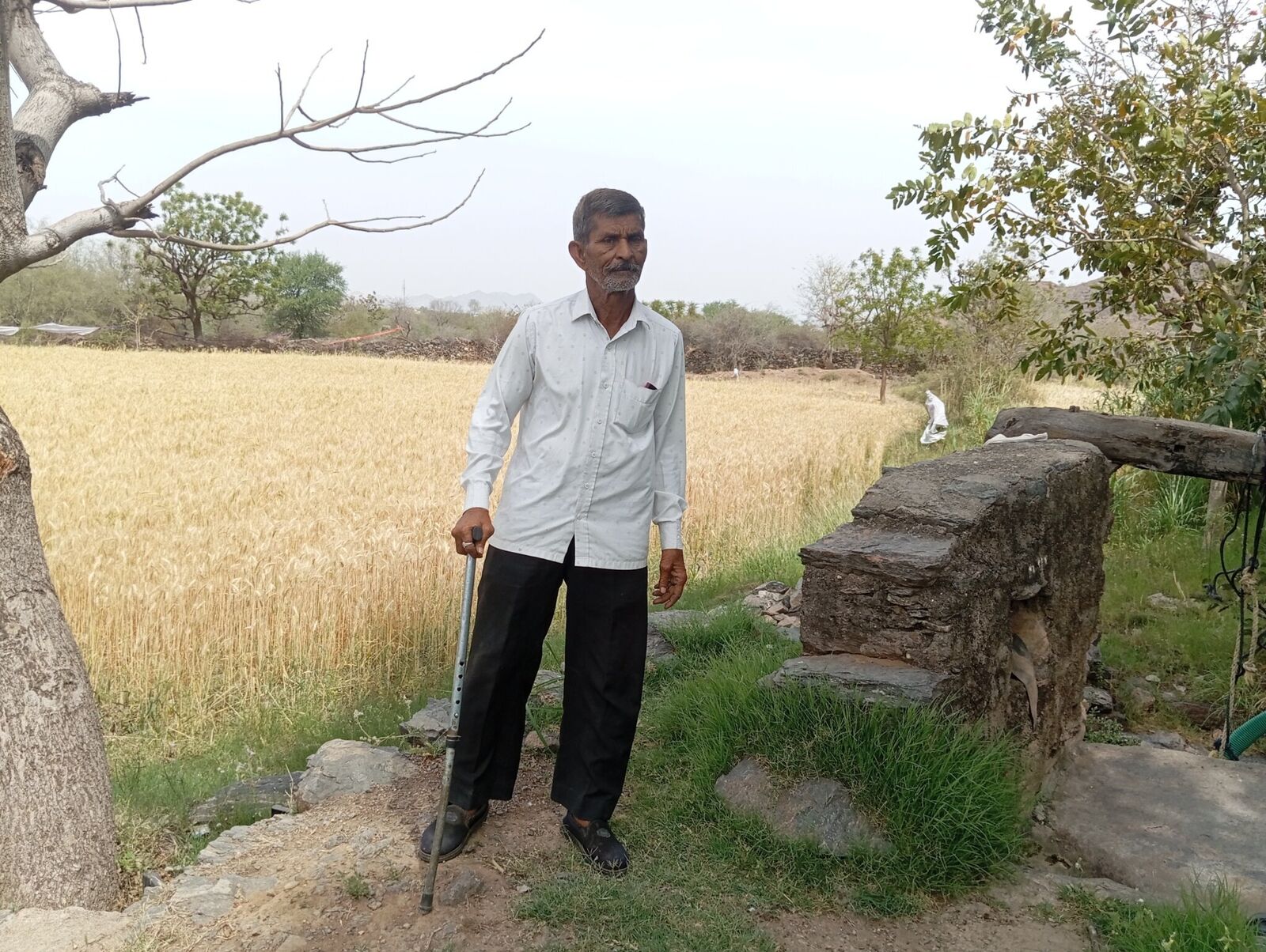 Shankar lal Field