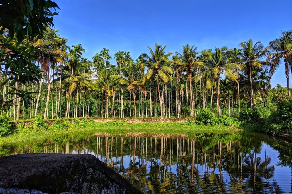 Kerala 1024x768