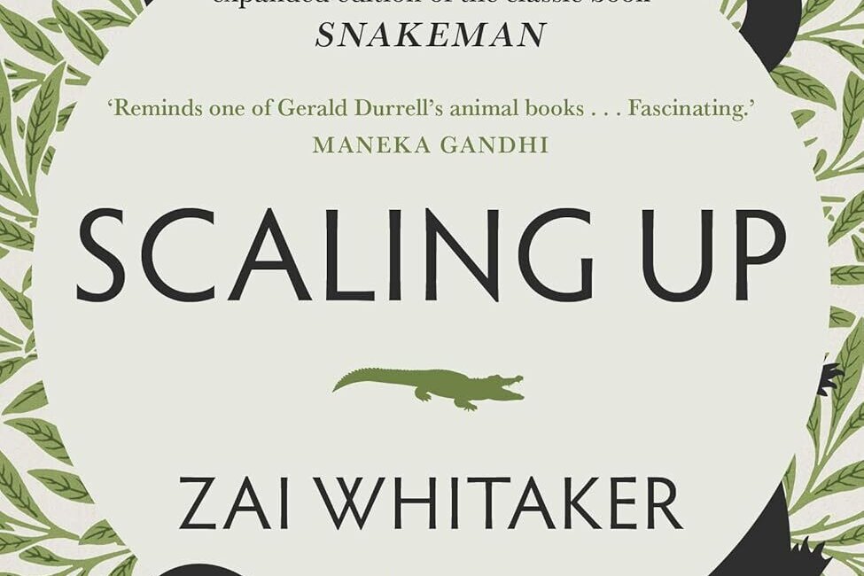 Copy of Scaling Up Cover
