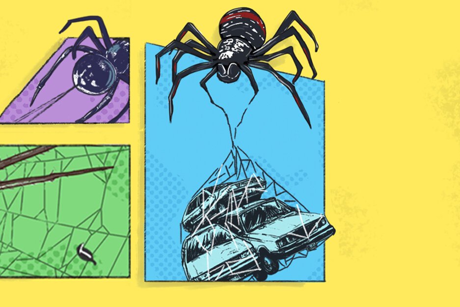 APU Radio Storyof Spiders Website Banner