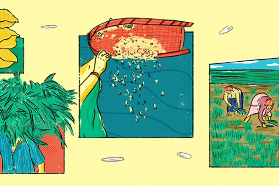 Storyof Rice Website Banner