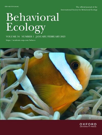 M cover