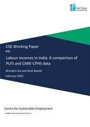 Jha Basole PLFS CPHS Labour Earnings