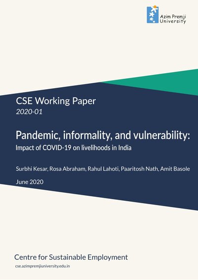 Pandemic informality and vulnerability