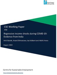 CSE working paper 58
