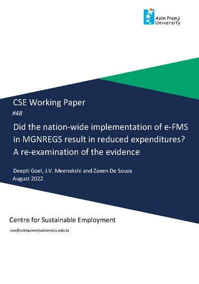 CSE working paper 48 cover page