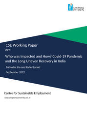 CSE working paper 49