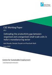 CSE Working Paper 51