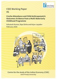 CSIE Working Paper 6 cover image