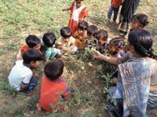 Nature walks as a pedagogical tool pic1 children observing a plant