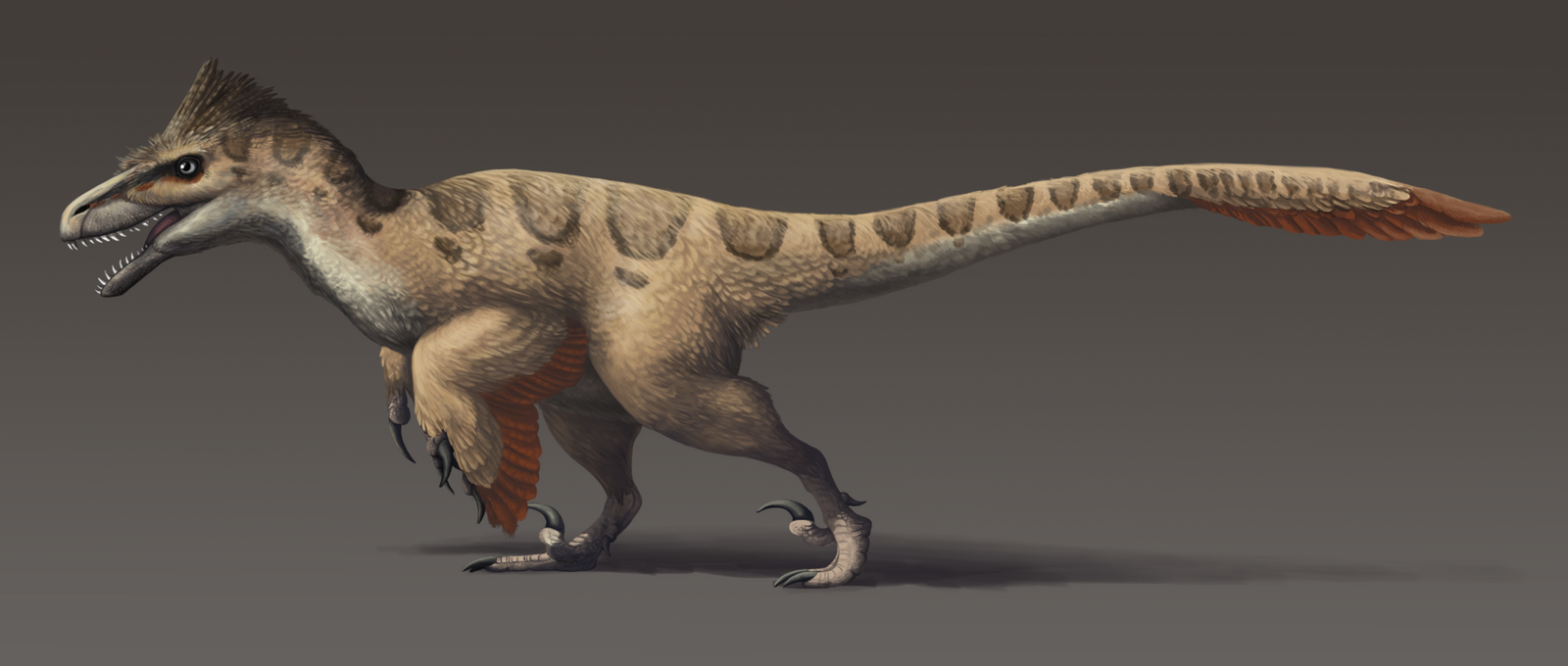 I wonder 4 do dino shreya ghosh fig5a