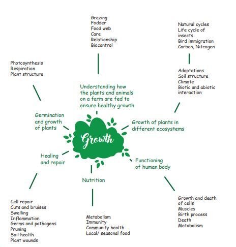I wonder issue 6 Place based learning Fig 3