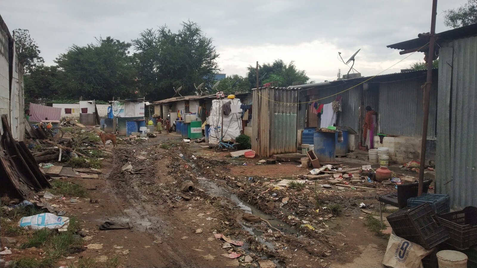 Bengaluru covid impact survey image 5