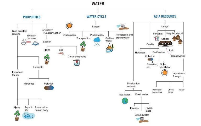How to teach children to apply science to explore natural phenomena ...