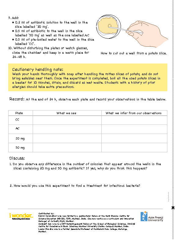 I Wonder Issue 4 May 2020 birth of antibiotics Page 2