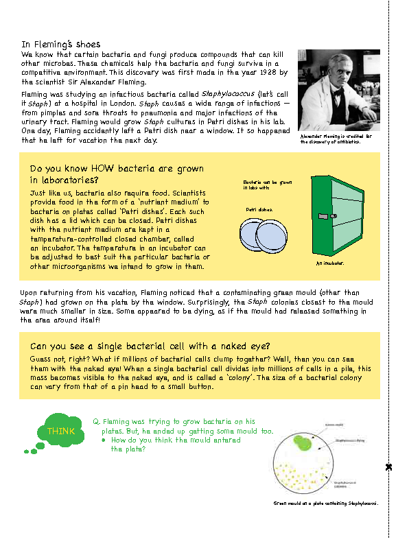 I Wonder Issue 4 May 2020 birth of antibiotics activity sheet 2 Page 2